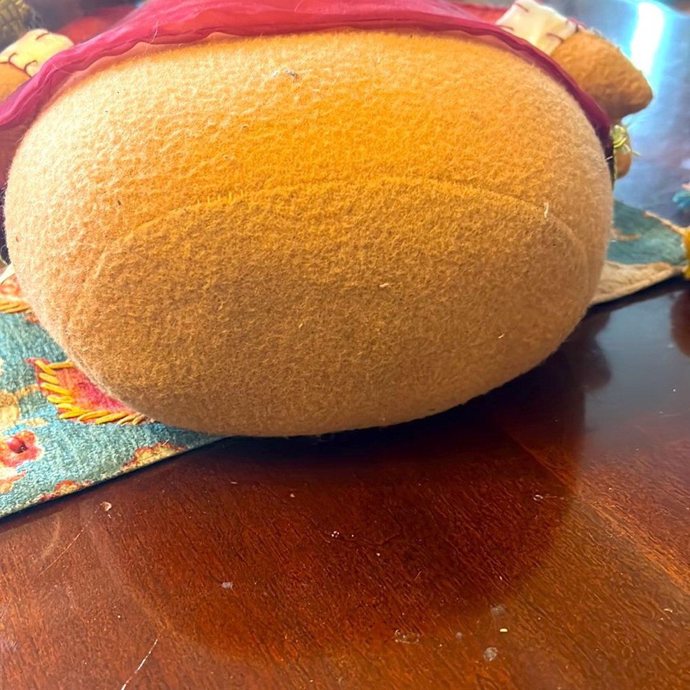Mrs. Thanksgiving Turkey 🦃🦃 - Picture 6 of 7